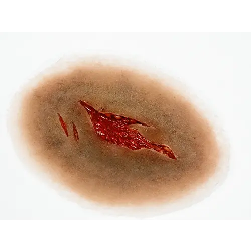 Techline Technologies Laceration - Medium