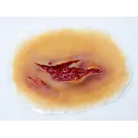 Techline Technologies Laceration - Medium