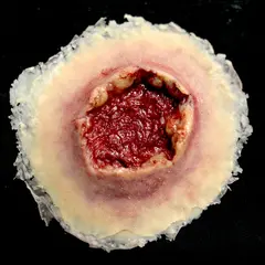 Techline Technologies GS Exit Wound - Large