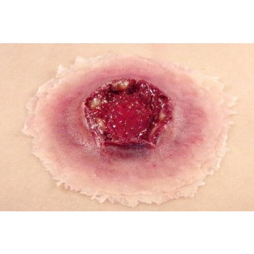Techline Technologies GS Exit Wound - Large