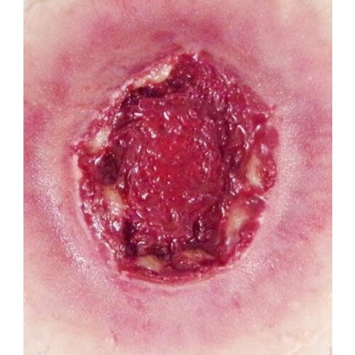 Techline Technologies GS Exit Wound - Large