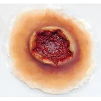 Techline Technologies GS Exit Wound - Large