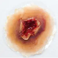 Techline Technologies GS Exit Wound - Medium