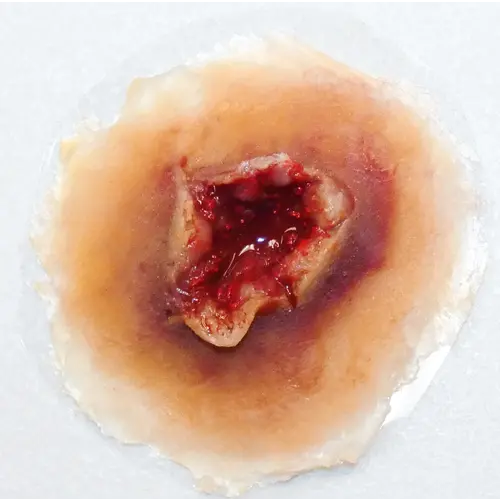 Techline Technologies GS Exit Wound - Medium
