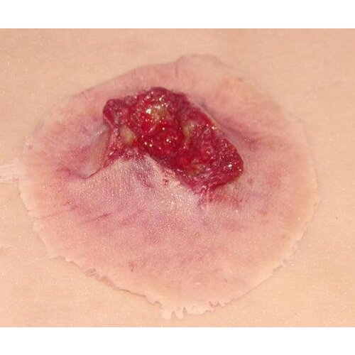 Techline Technologies GS Exit Wound - Medium