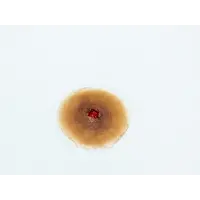 Techline Technologies GS Entry Wound - Small