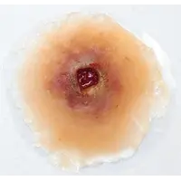 Techline Technologies GS Entry Wound - Small