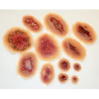 Techline Technologies Small Self Adhesive Wound Kit