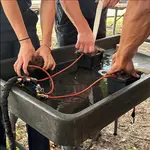 Techline Technologies K9 - Gunshot Wound in a Box