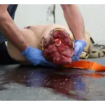 Techline Technologies Bleeding Control (B-CON) Task Trainer