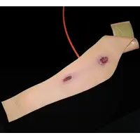 Techline Technologies GSW Neck Wound