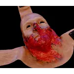 Techline Technologies Burned Face Full Mask