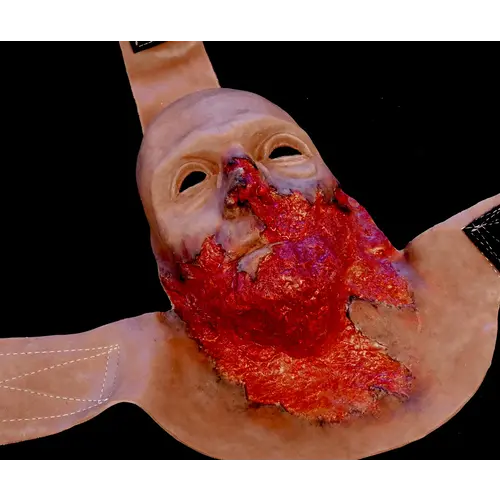 Techline Technologies Burned Face Full Mask