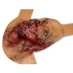 Techline Technologies Burned Face Full Mask