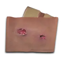 Techline Technologies GSW to Leg