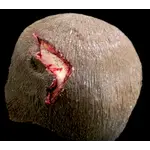 Techline Technologies Open Wound Scalp