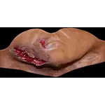 Techline Technologies Broken Jaw w/ Laceration