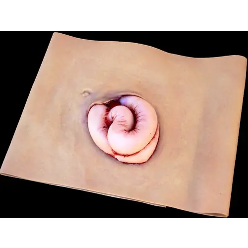 Techline Technologies Evisceration