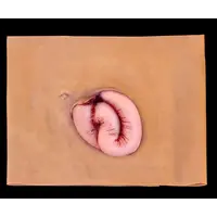 Techline Technologies Evisceration