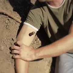 Techline Technologies Impaled Object