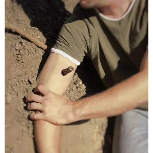 Techline Technologies Impaled Object
