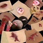 Techline Technologies Deluxe Moulage Kit
