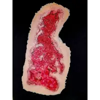 Techline Technologies Chest Burn Full