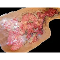 Techline Technologies Chest Burn Full