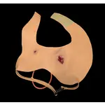 Techline Technologies Gunshot Wound Clavicle