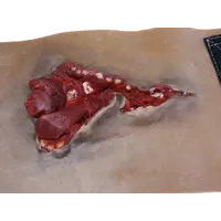 Techline Technologies Gunshot Wound Bicep