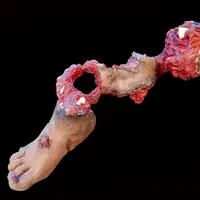 Techline Technologies Partial Right Leg Amputation Hard Bone