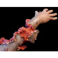 Techline Technologies Patrial Right Arm Amputation with Hard bone