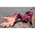 Techline Technologies Patrial Right Arm Amputation with Hard bone