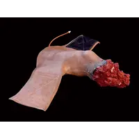 Techline Technologies Leg Amputation Hard Bone