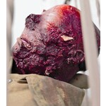 Techline Technologies Blast Face Hard Bone
