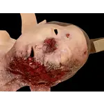 Techline Technologies Blast Face Hard Bone