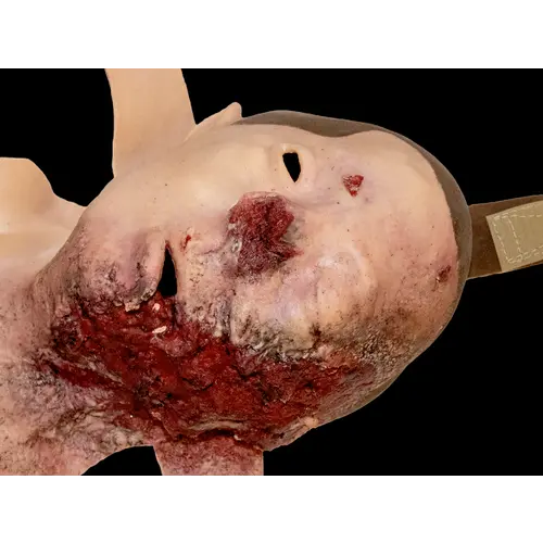 Techline Technologies Blast Face Hard Bone