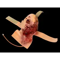 Techline Technologies Blast Face Hard Bone