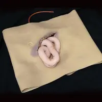 Techline Technologies Packable Evisceration