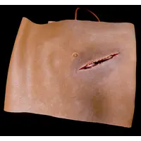 Techline Technologies Packable Evisceration