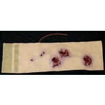 Techline Technologies Multiple Gunshot Abdomen