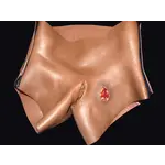 Techline Technologies GSW to Female Groin