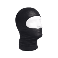 HWI Lightweight NOMEX Hood TAA/GSA