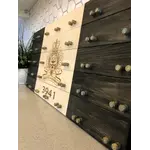 Beneath the Bark Police Crested Challenge Coin Display Case