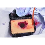 Techline Technologies Wound Packing Sim2 Kit