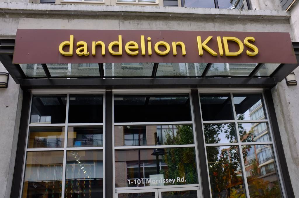 Who's Behind Dandelion Kids (Feb 2017)