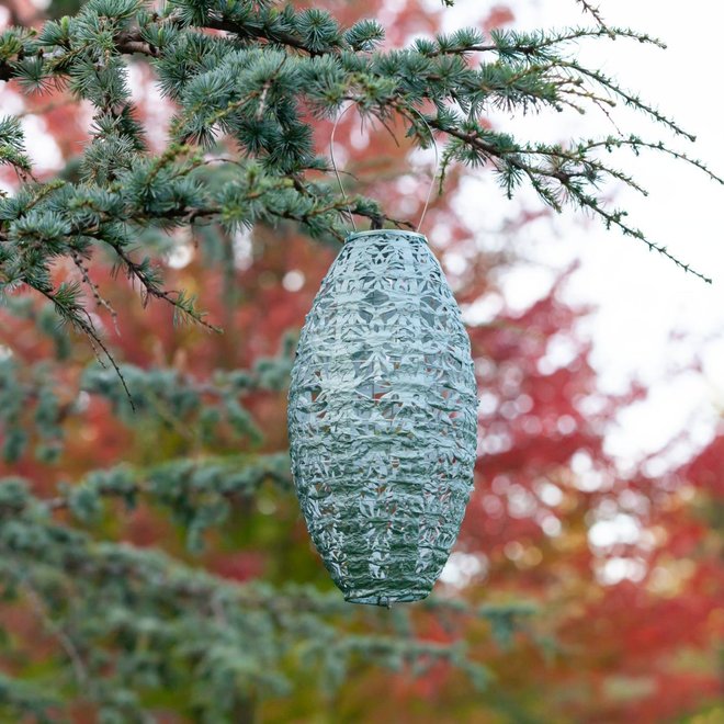 Solar Lantern Wildflower Pod Sage 7" x 15"