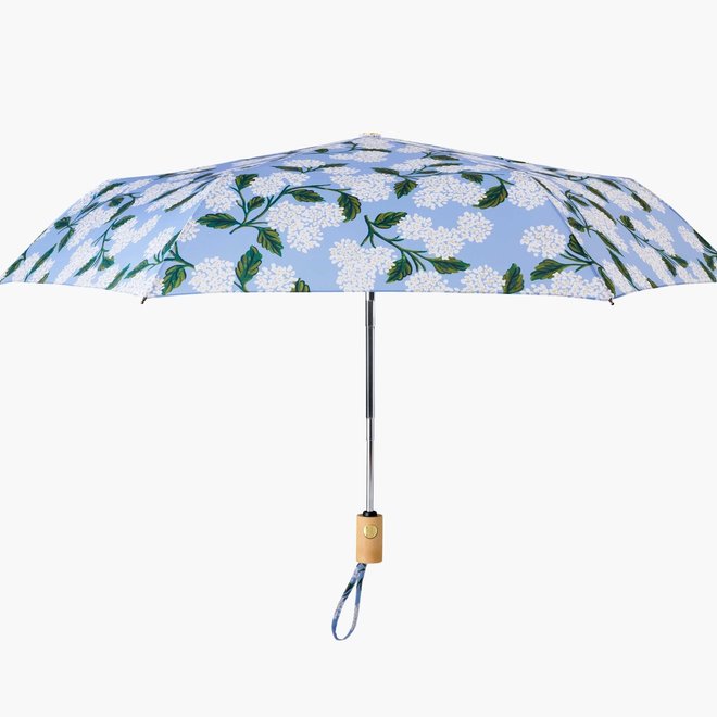 Umbrella Hydrangea