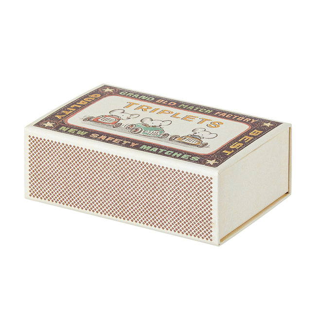 Baby Mice Triplets in Matchbox