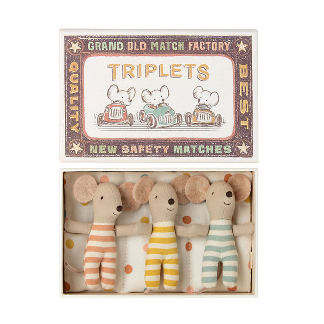 Baby Mice Triplets in Matchbox